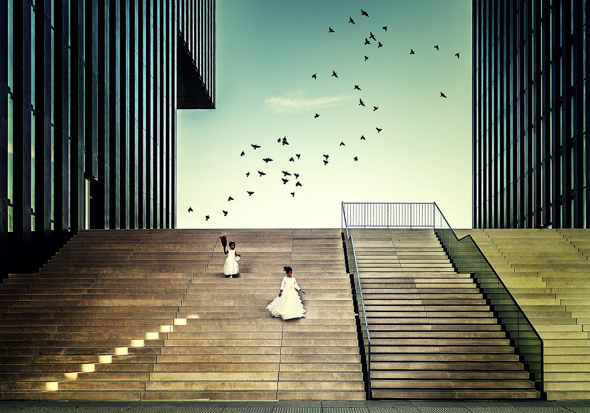 Libre comme un oiseau...