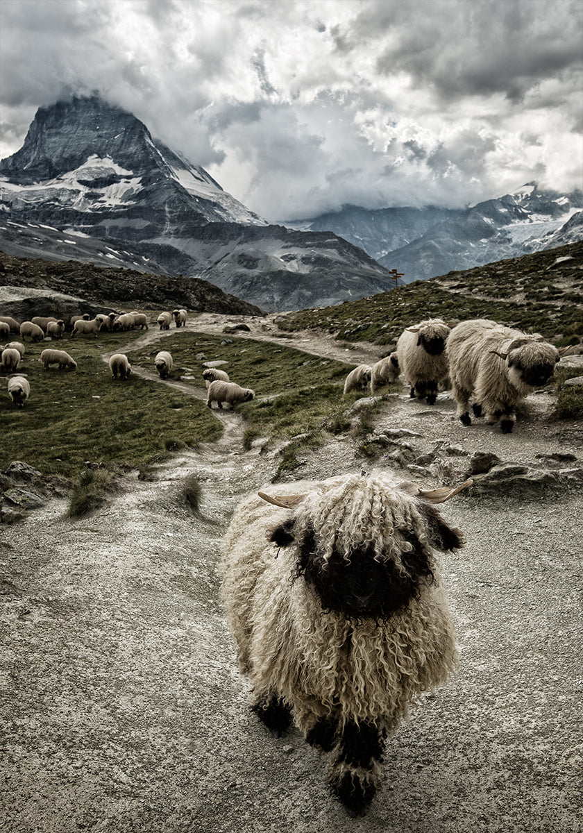 Hors de mon chemin Poster