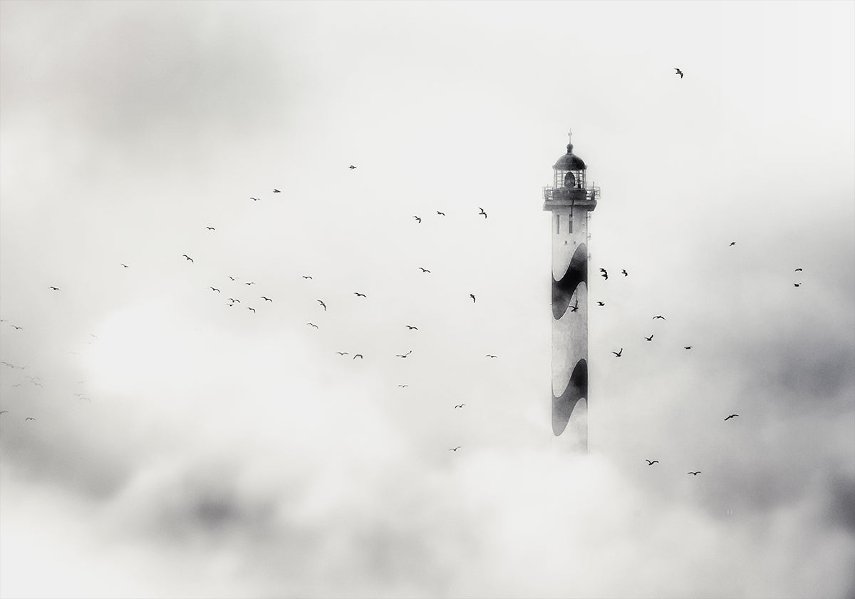 le brouillard