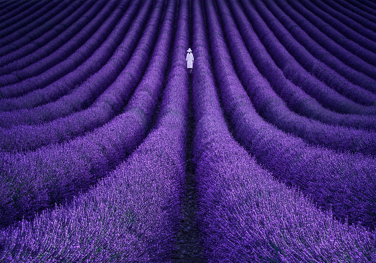 ELLE