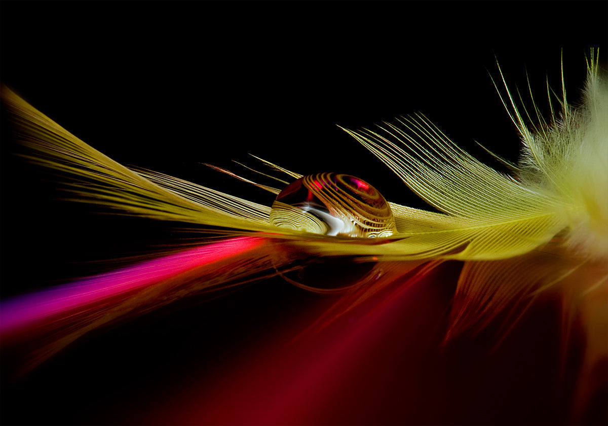 Des couleurs dans la goutte