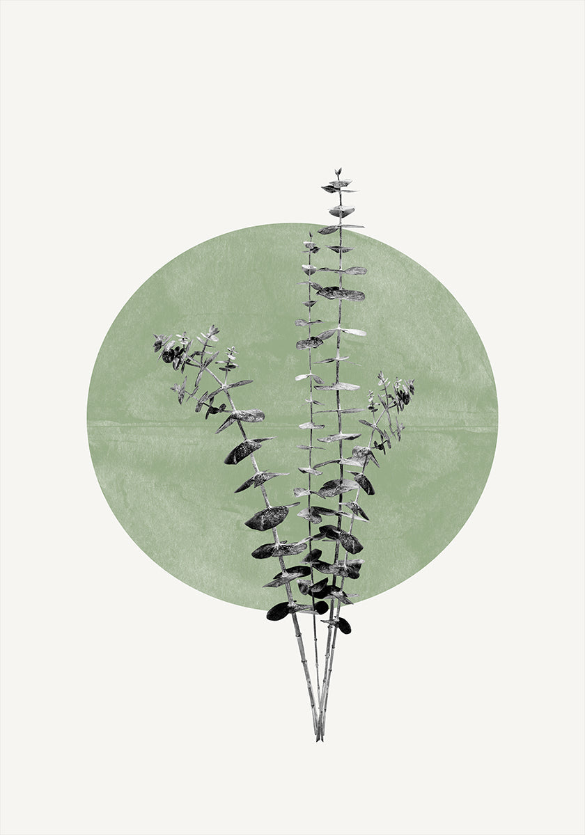 L'écho de la nature Poster