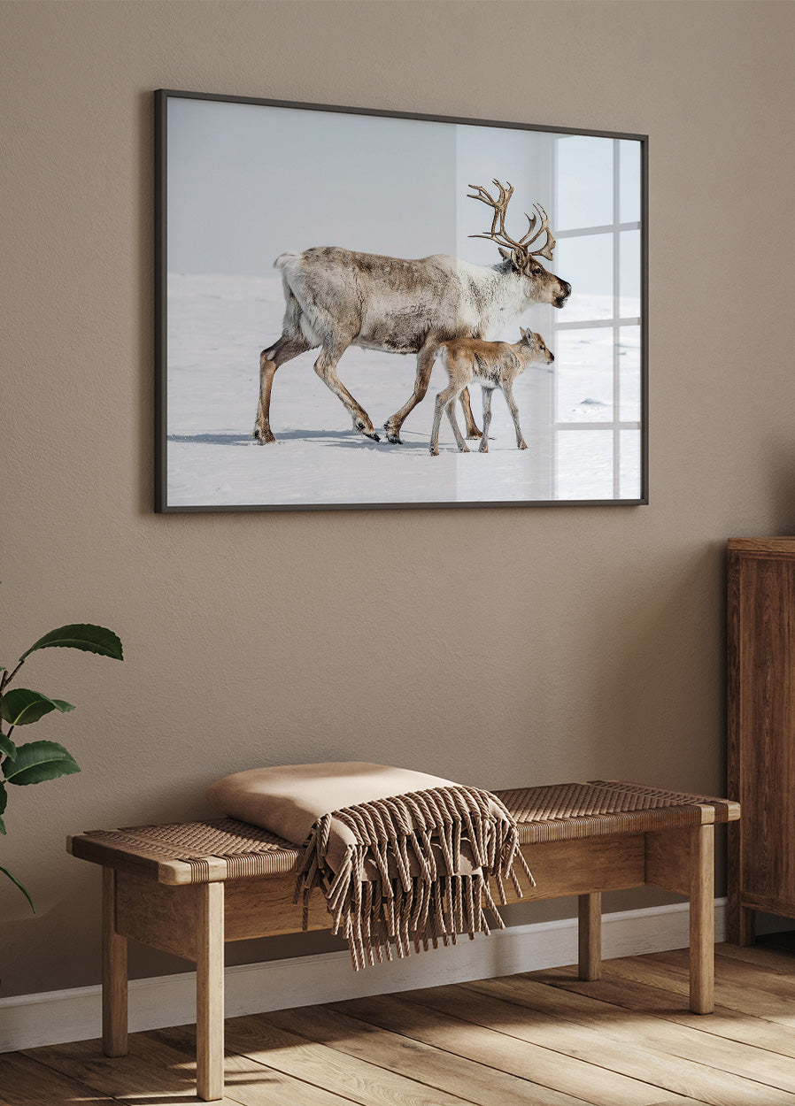 Reindeer With Offspring Plakat - Posterbox.dk