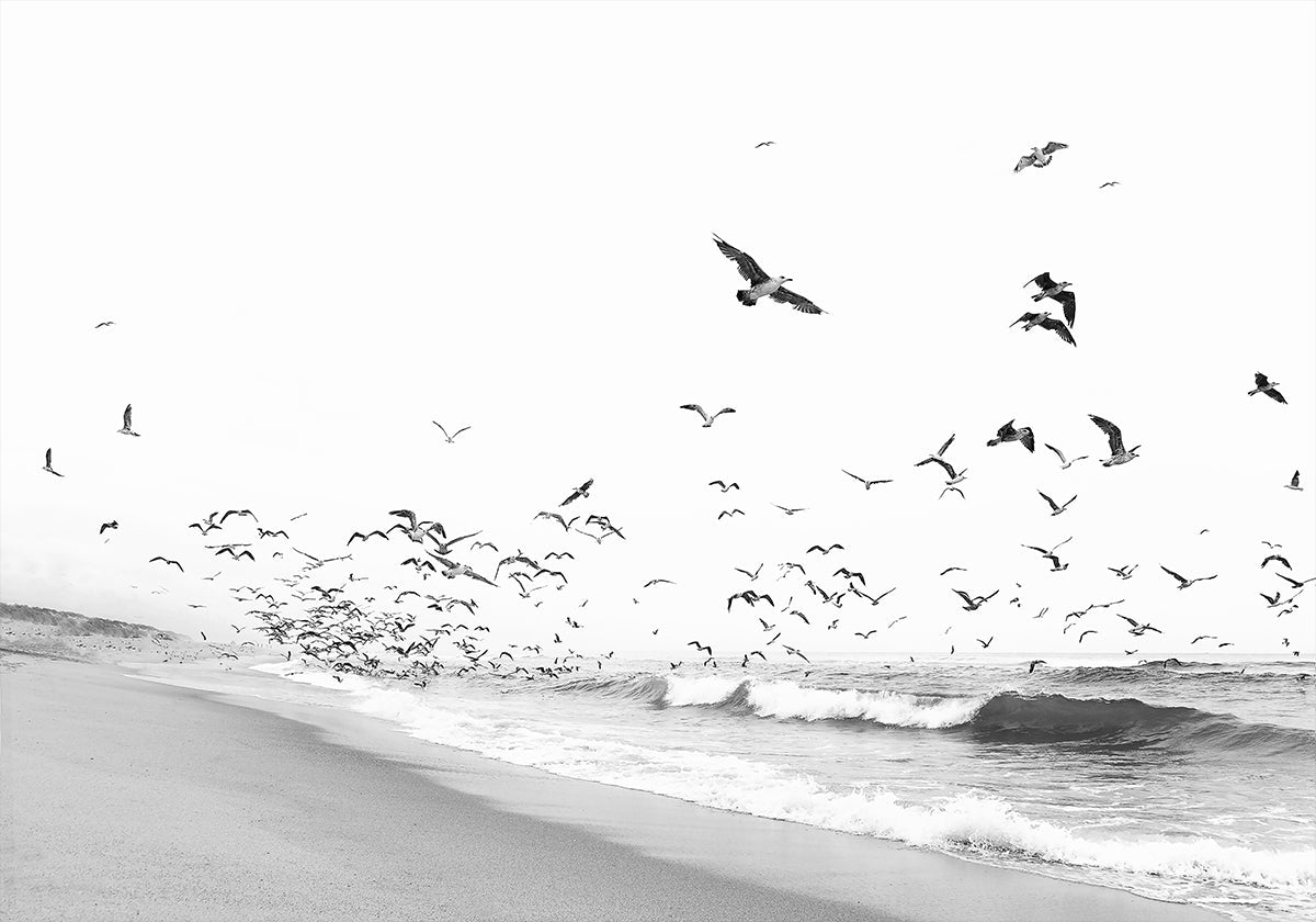 Paysage marin BW (NOUVEAU)