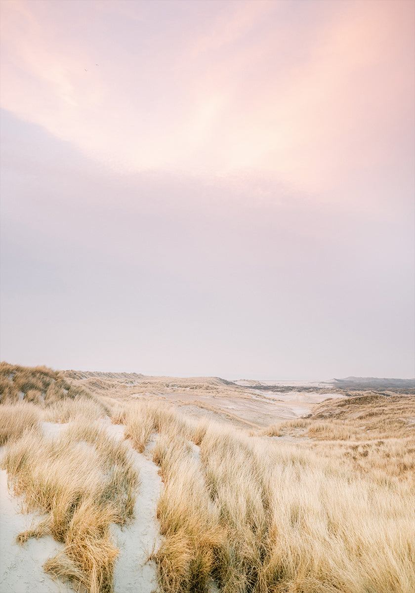 Ameland Dunes 1 (NOUVEAU)