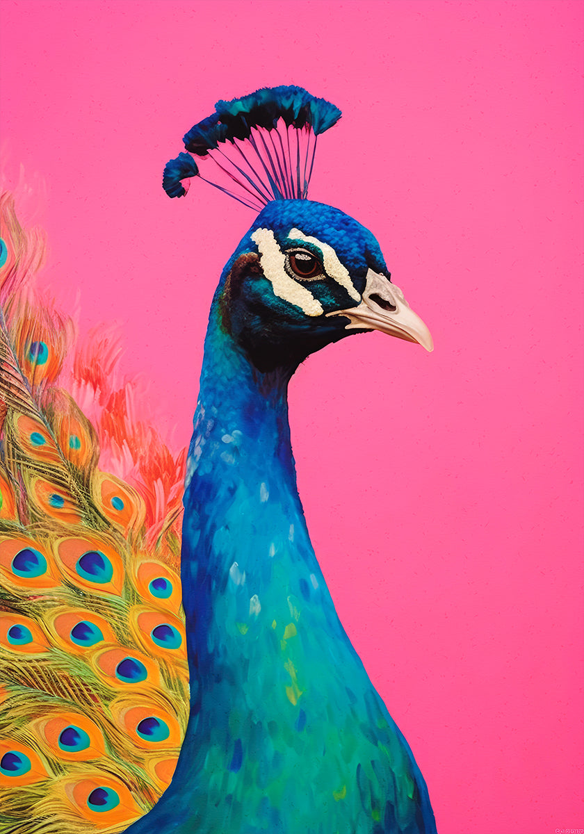 Vibrance du paon