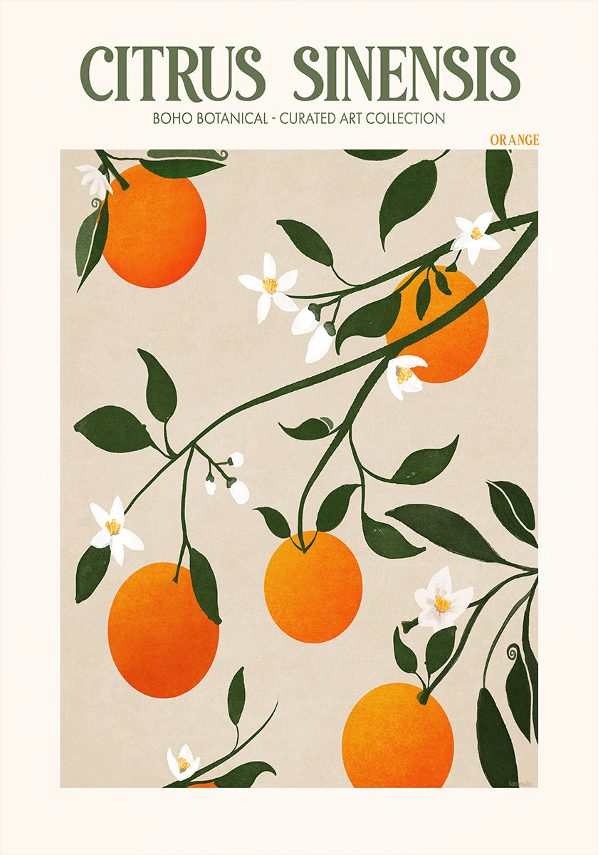 Élégance orange Poster