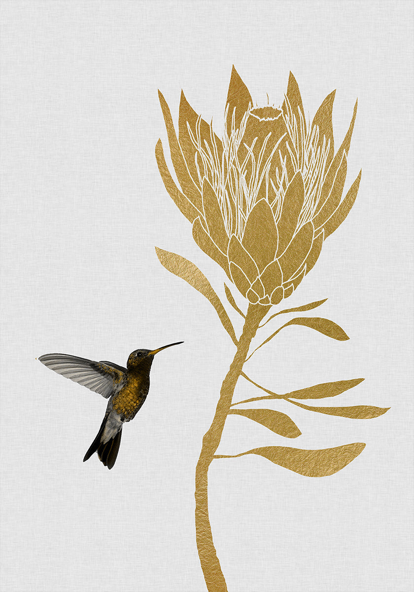 Colibri et fleur dans Poster