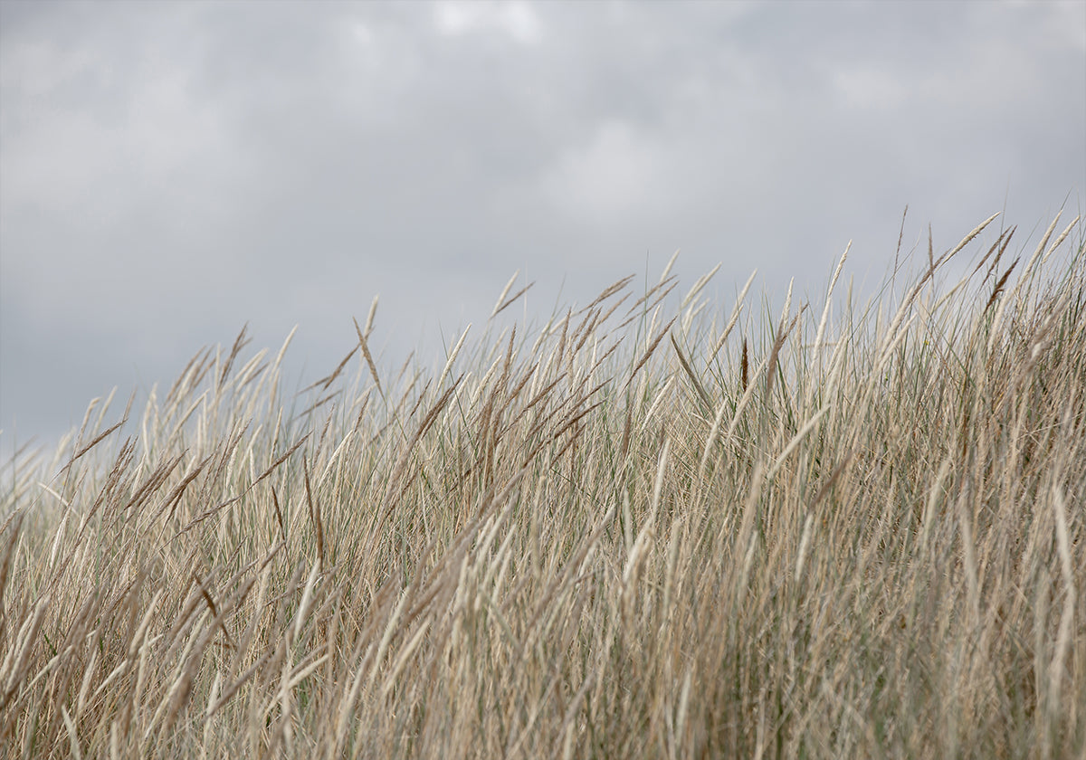 Dunes et nuages