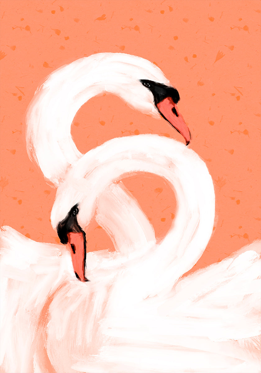 Cygnes gracieux