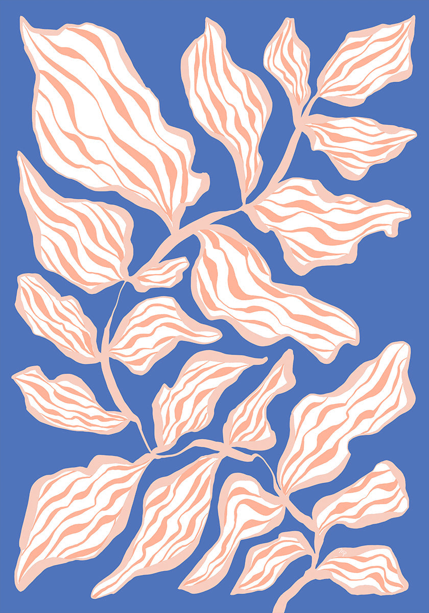 Gloire du soir (NOUVEAU)