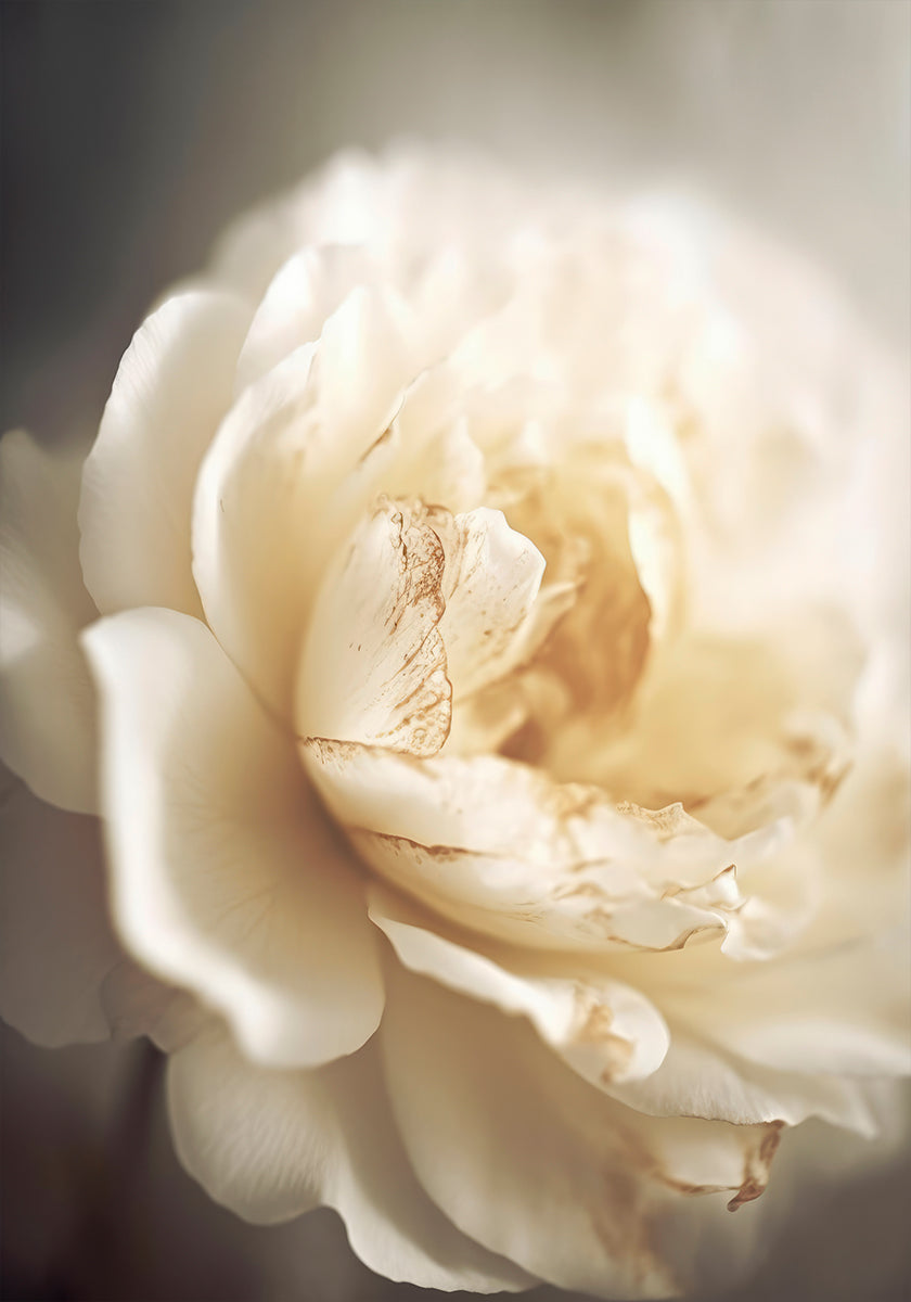 Floraison éthérée