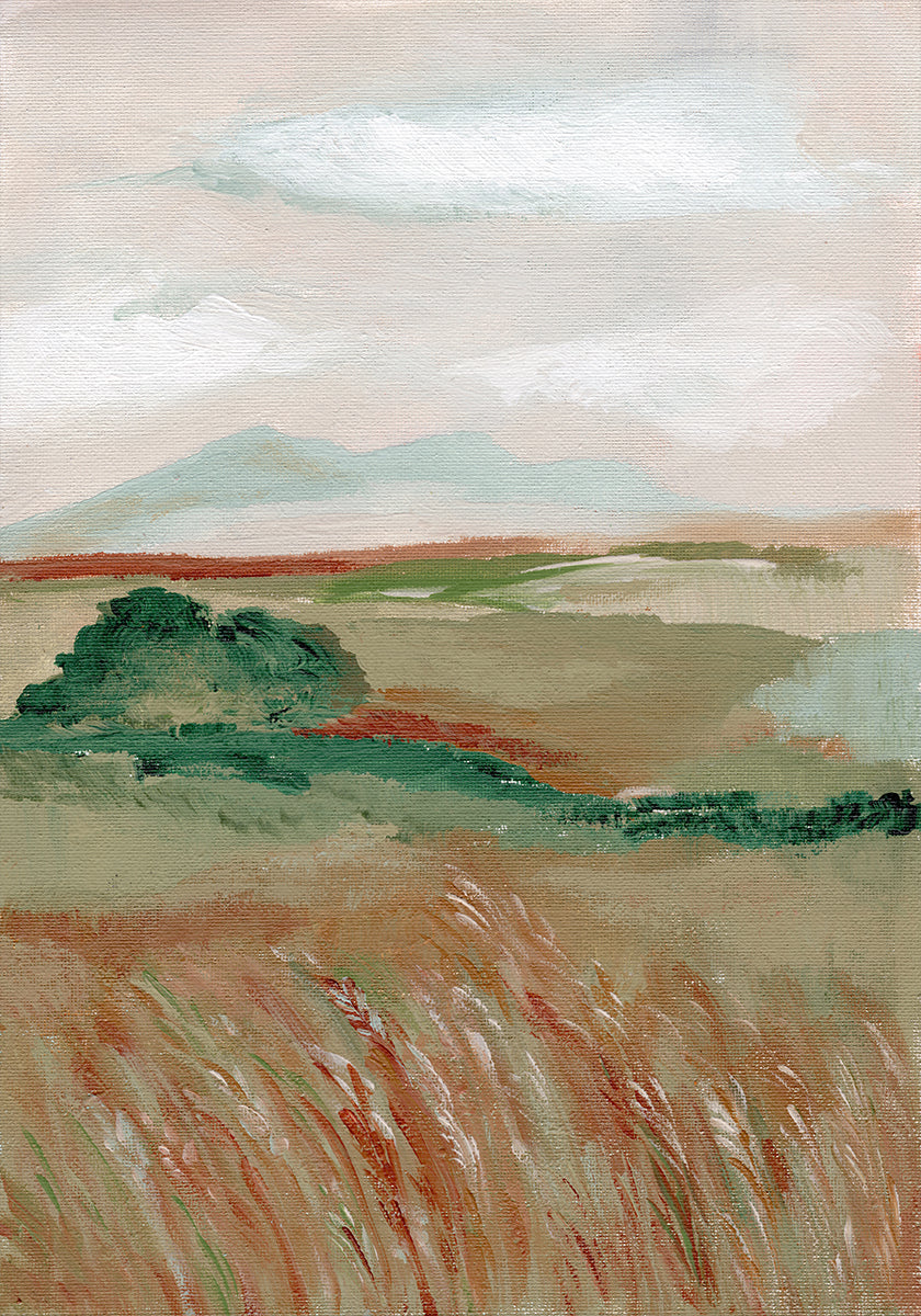 Prairie de blé l