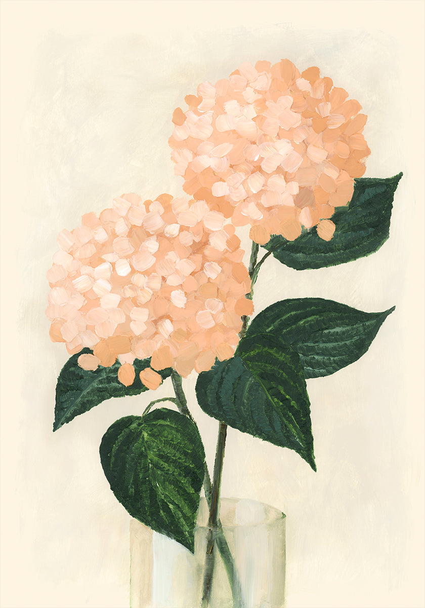 Hortensias corail dans un vase