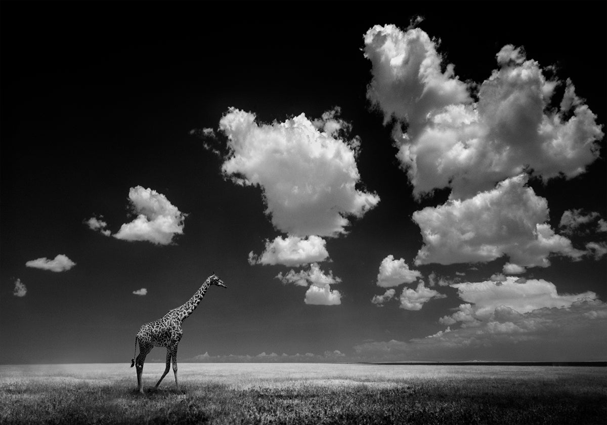 Autant en emporte les nuages