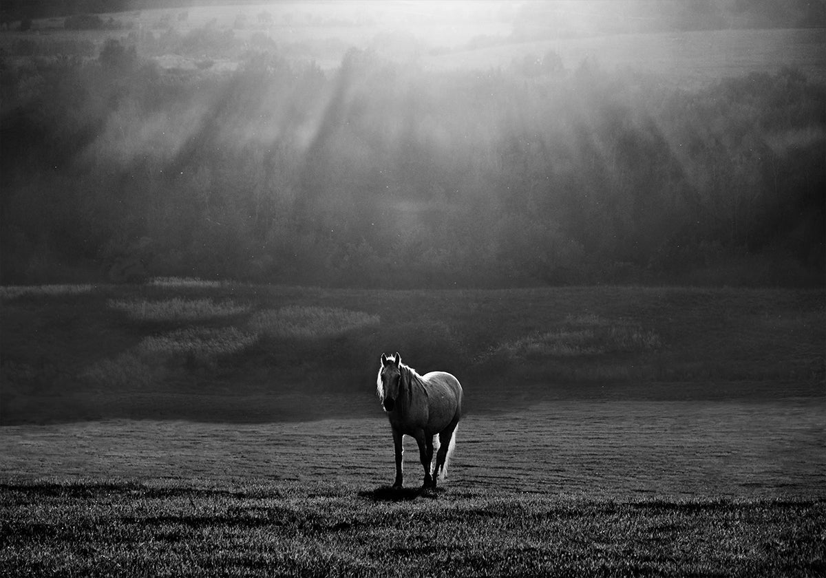apparition du matin