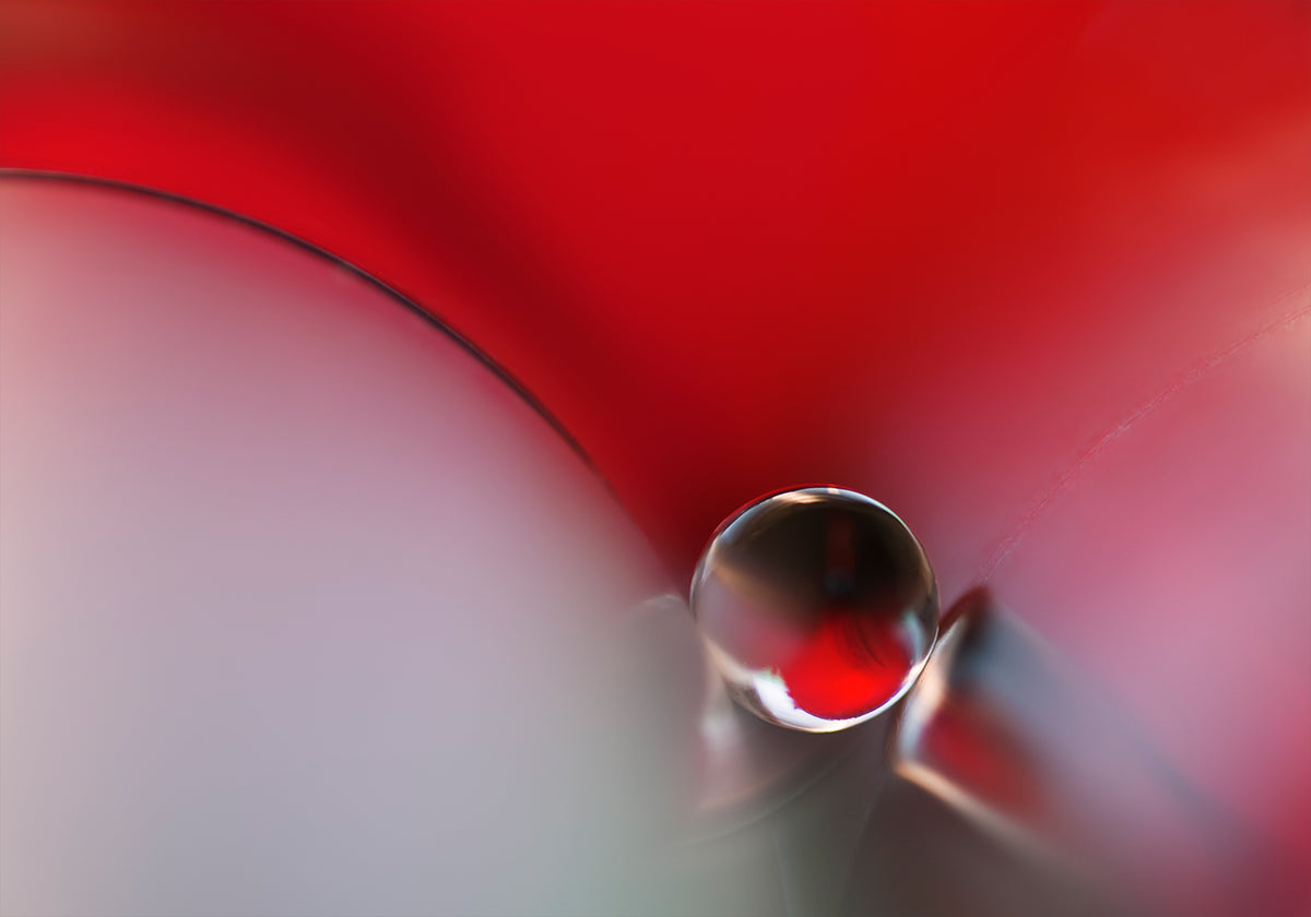 Entre Poster