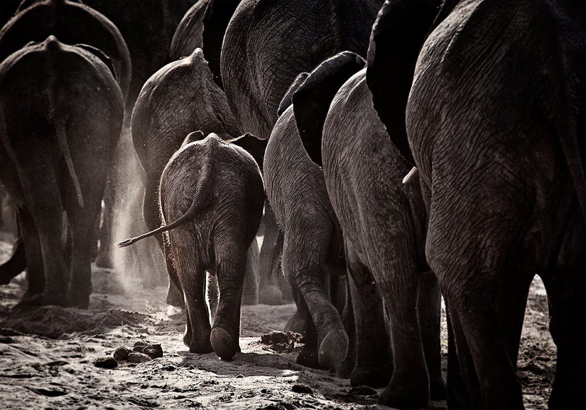 Marcher à la maison