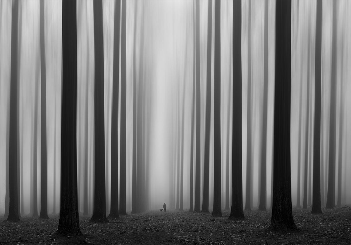 Labyrinthe
