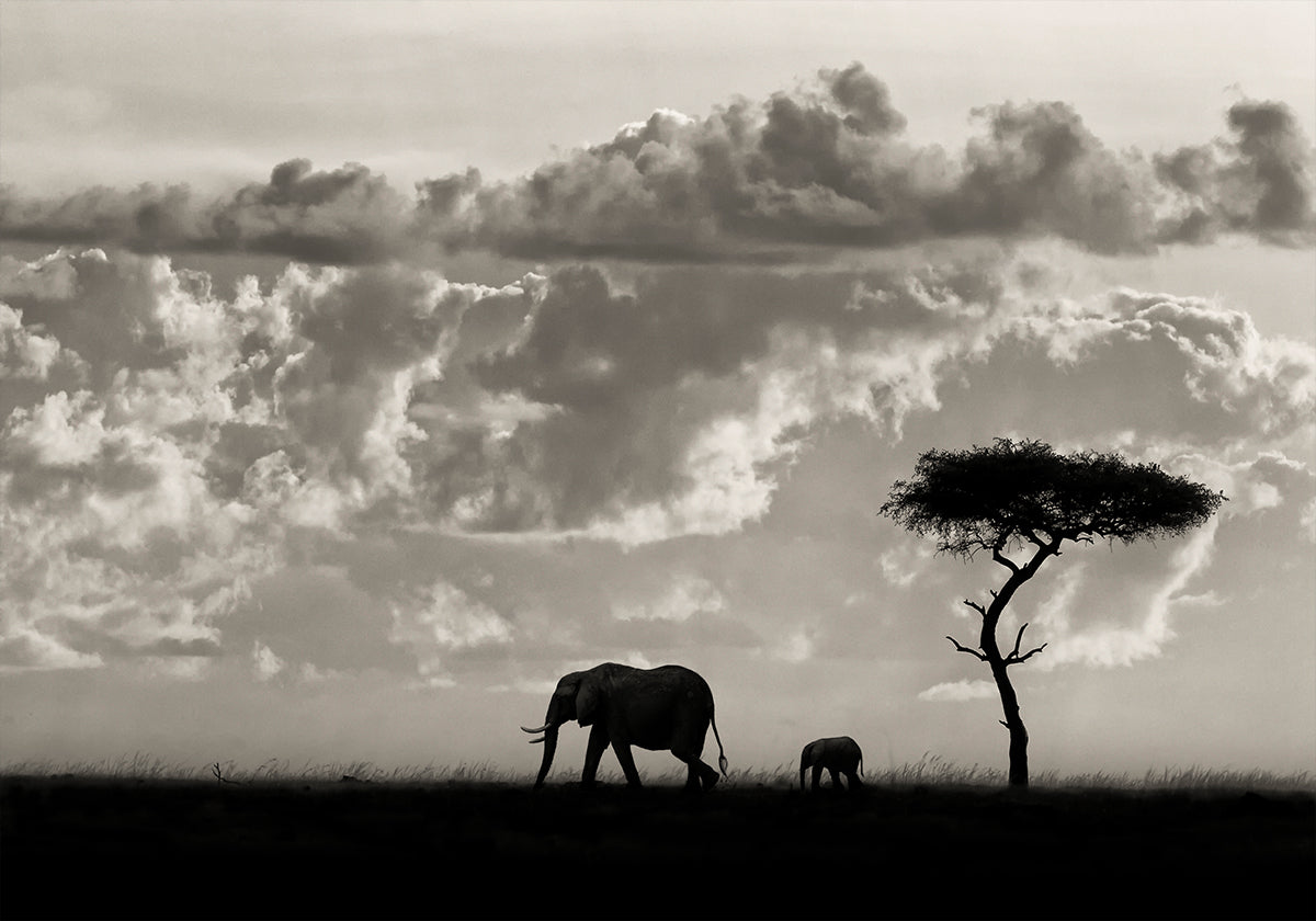 Silhouettes de Mara