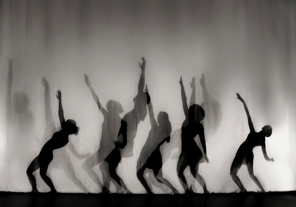 La danse est le langage de l'âme...