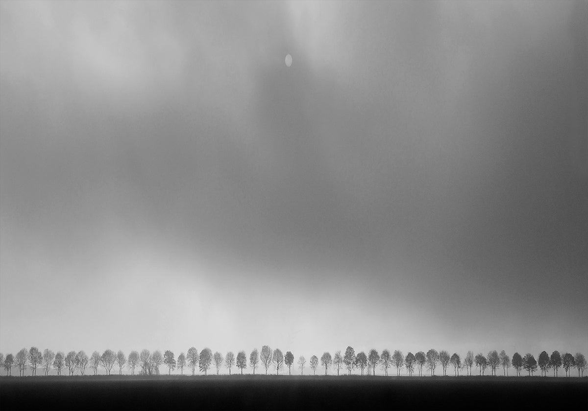 Paysage de polders