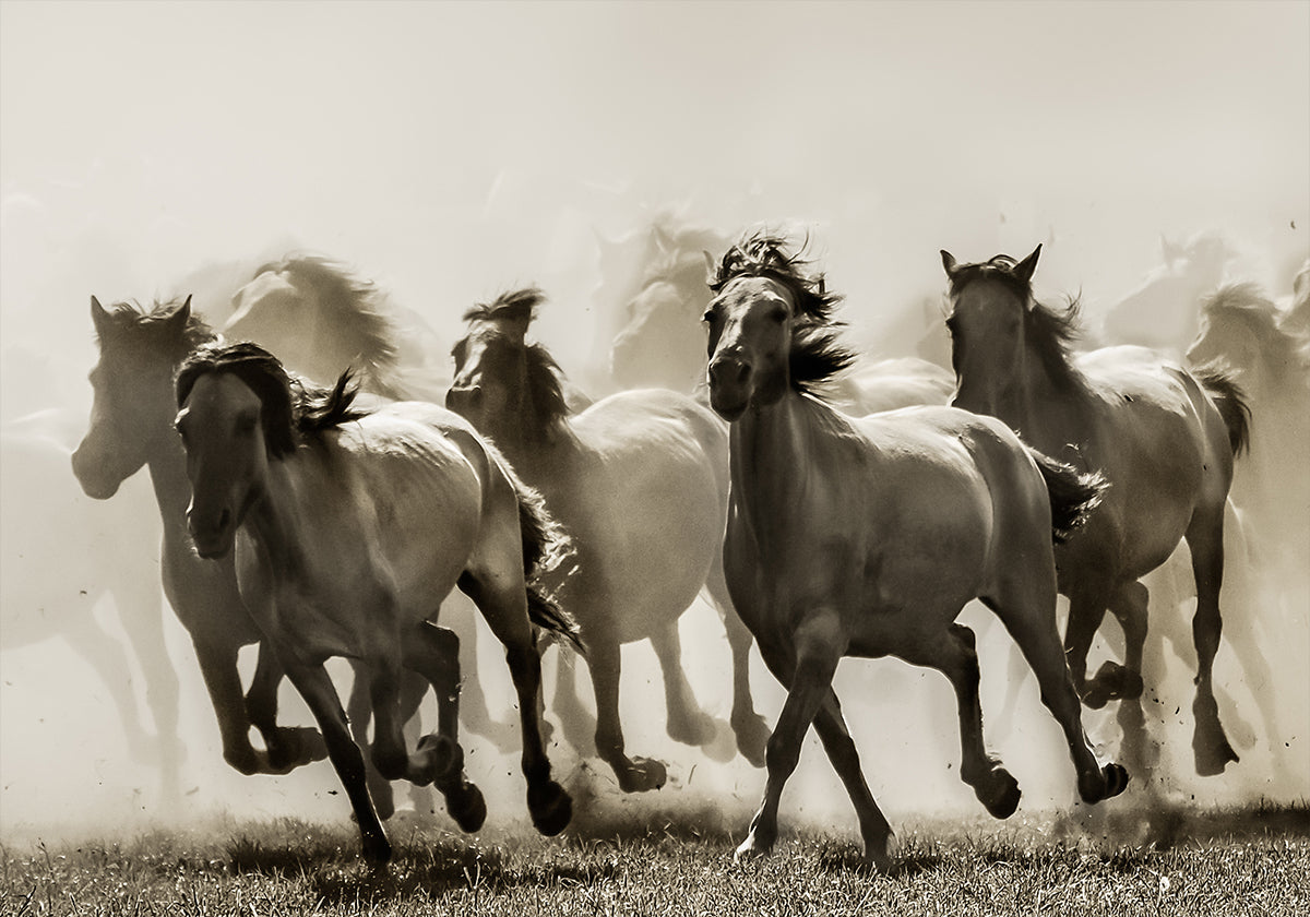 Cheval