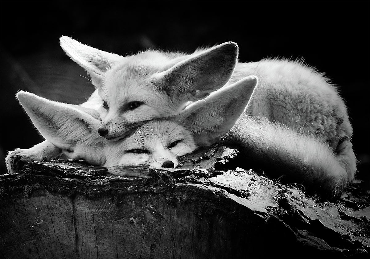Le couple heureux