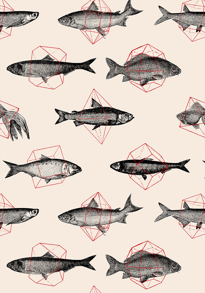 Poissons en géométrie Nº4 Poster