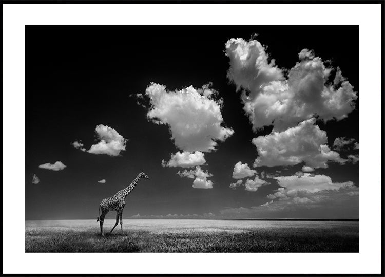 Autant en emporte les nuages