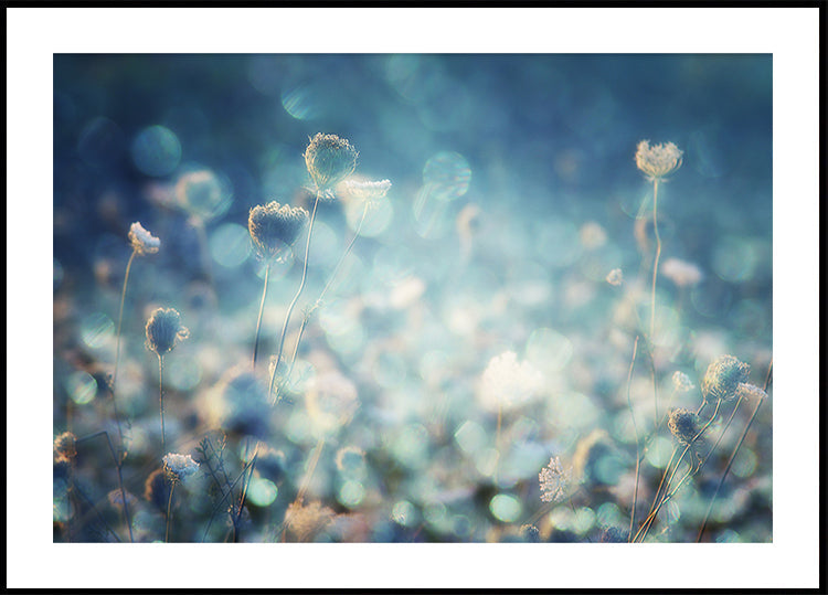 Diamants