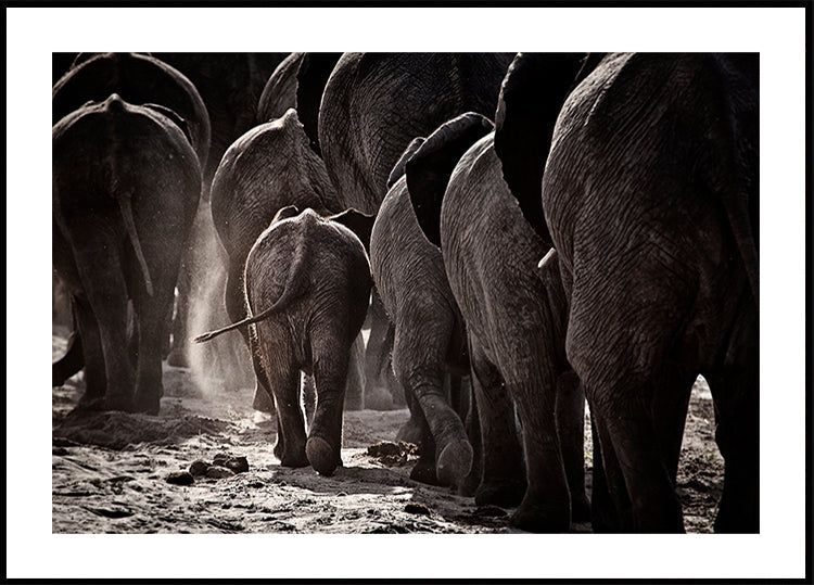 Marcher à la maison