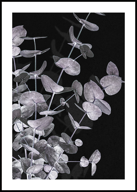 Eucalyptus Négatif No.3 Poster