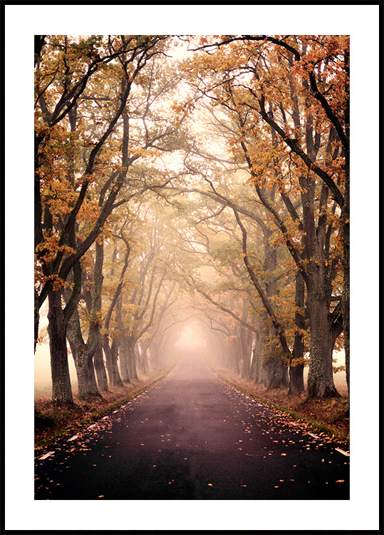 Avenue d'automne Poster