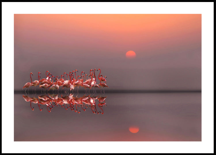 coucher de soleil violet