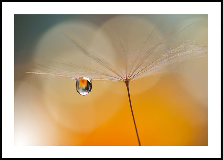 Petite musique de nuit...