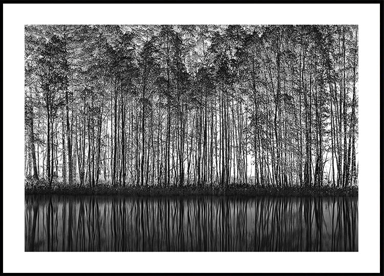 Pointillisme Nature
