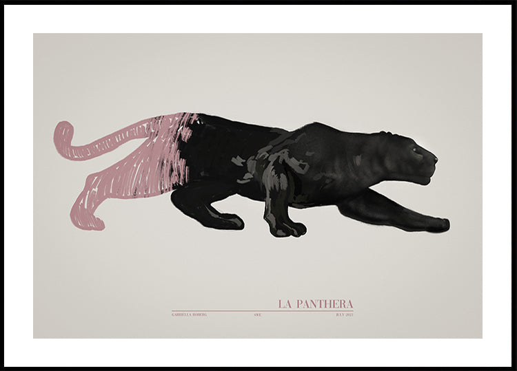 La Panthera (rose)