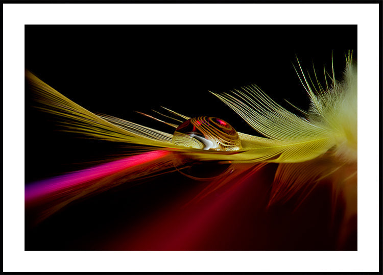 Des couleurs dans la goutte