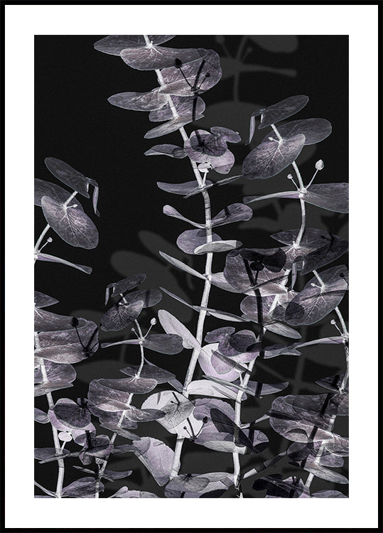 Eucalyptus Négatif No.2 Poster