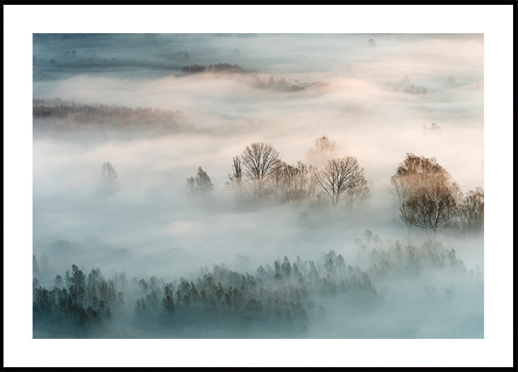 Brouillard d'hiver Poster
