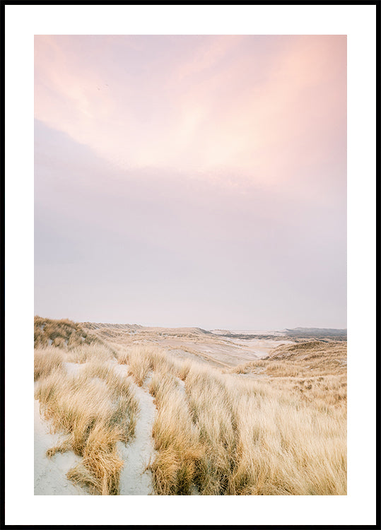 Ameland Dunes 1 (NOUVEAU)