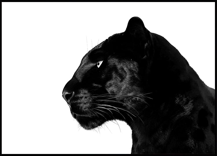 Profil de panthère noire Poster