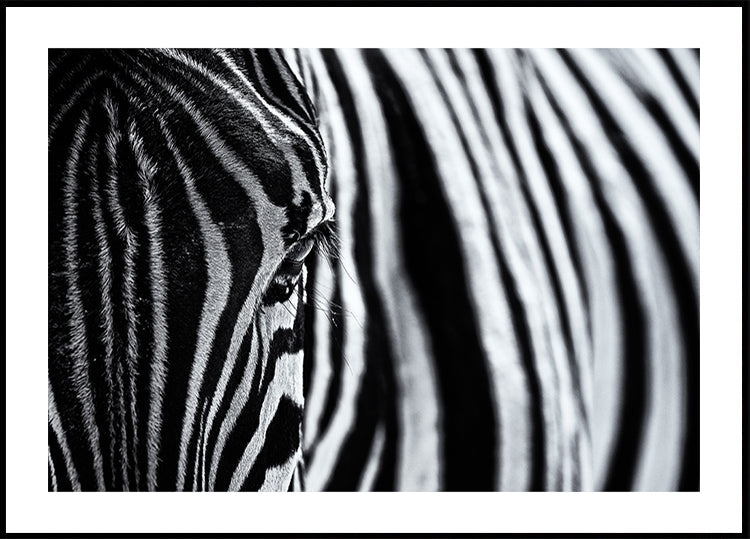 Le regard de la nature
