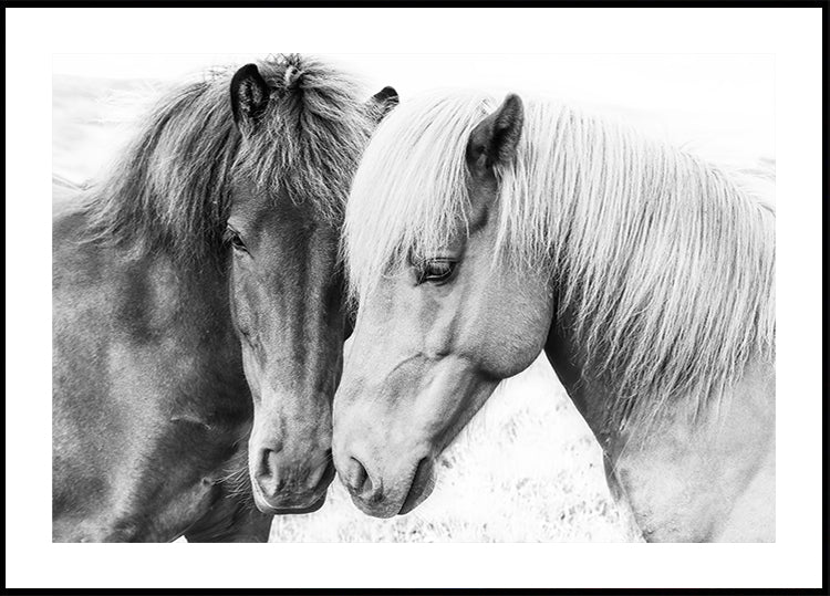Amour de cheval Poster
