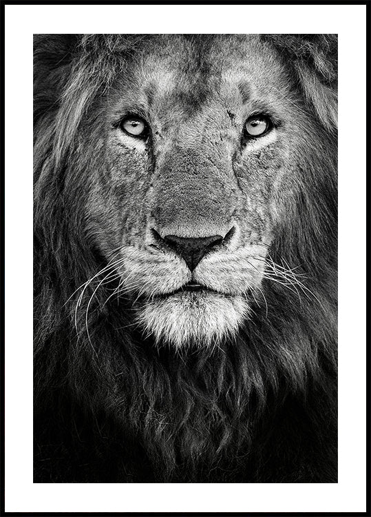 Portrait royal Poster