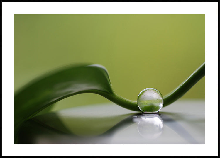 Harmonie verte