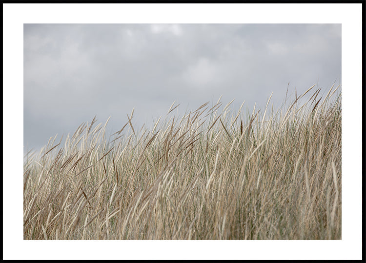 Dunes et nuages