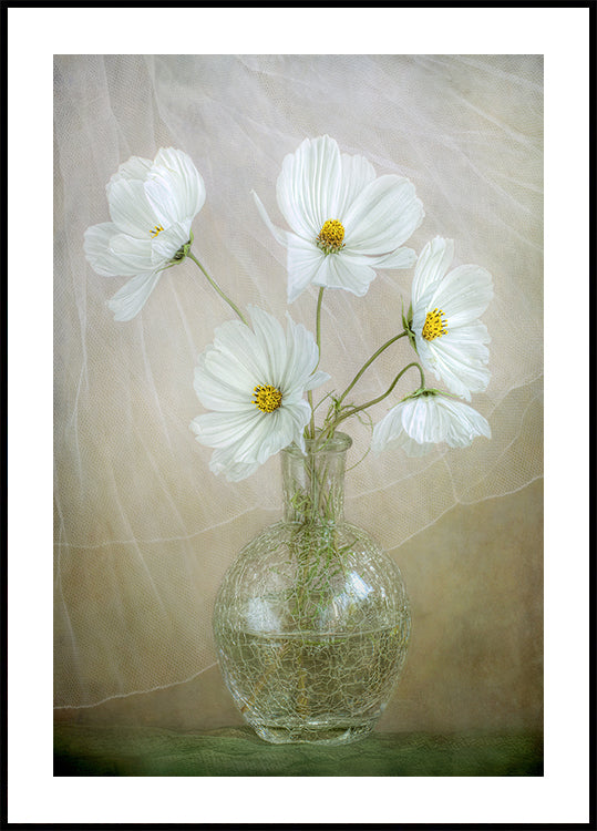 Brise du cosmos