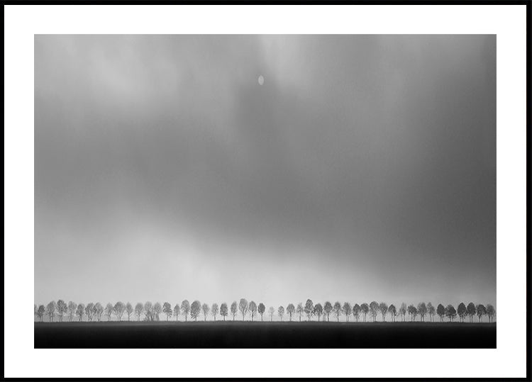 Paysage de polders